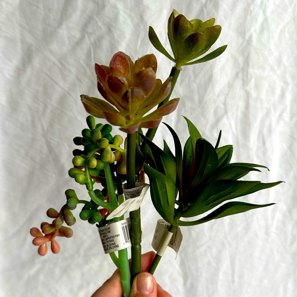 NWT Artificial Succulent Arrangement - Green and Brown set of succulents